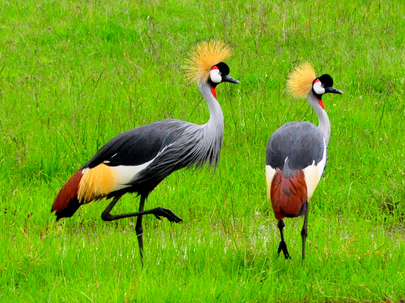 Melanie Heinrich Travel Images Africa